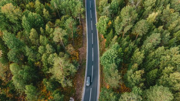 IR-blog image: forest and road